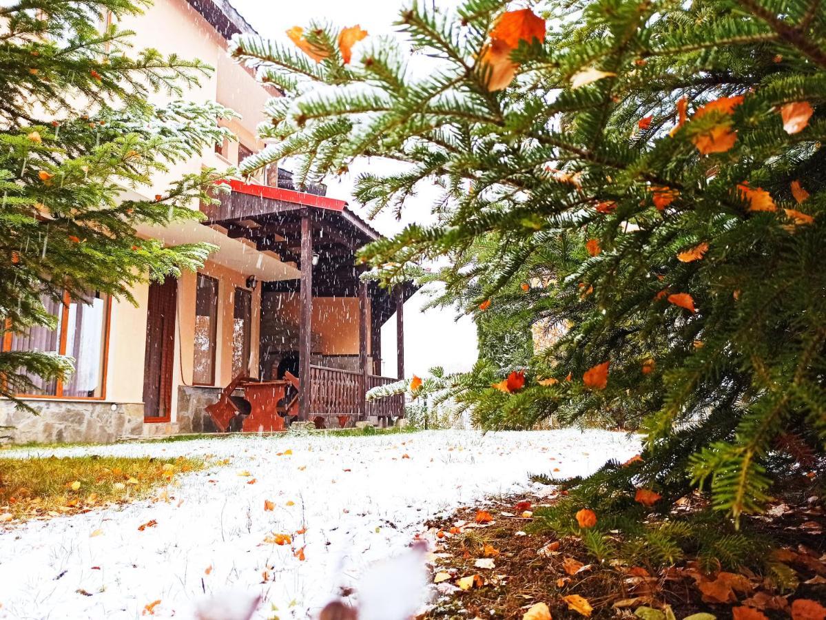 Rodopi Houses Czepełare Zewnętrze zdjęcie