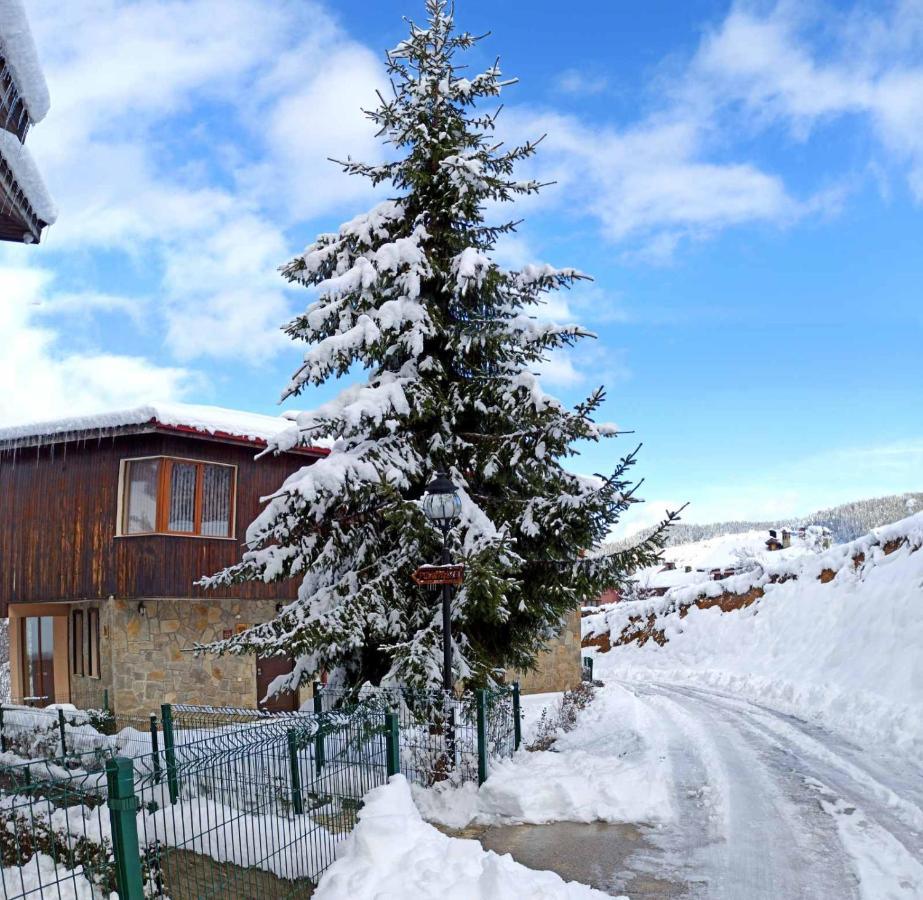 Rodopi Houses Czepełare Zewnętrze zdjęcie