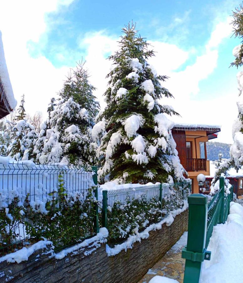 Rodopi Houses Czepełare Zewnętrze zdjęcie